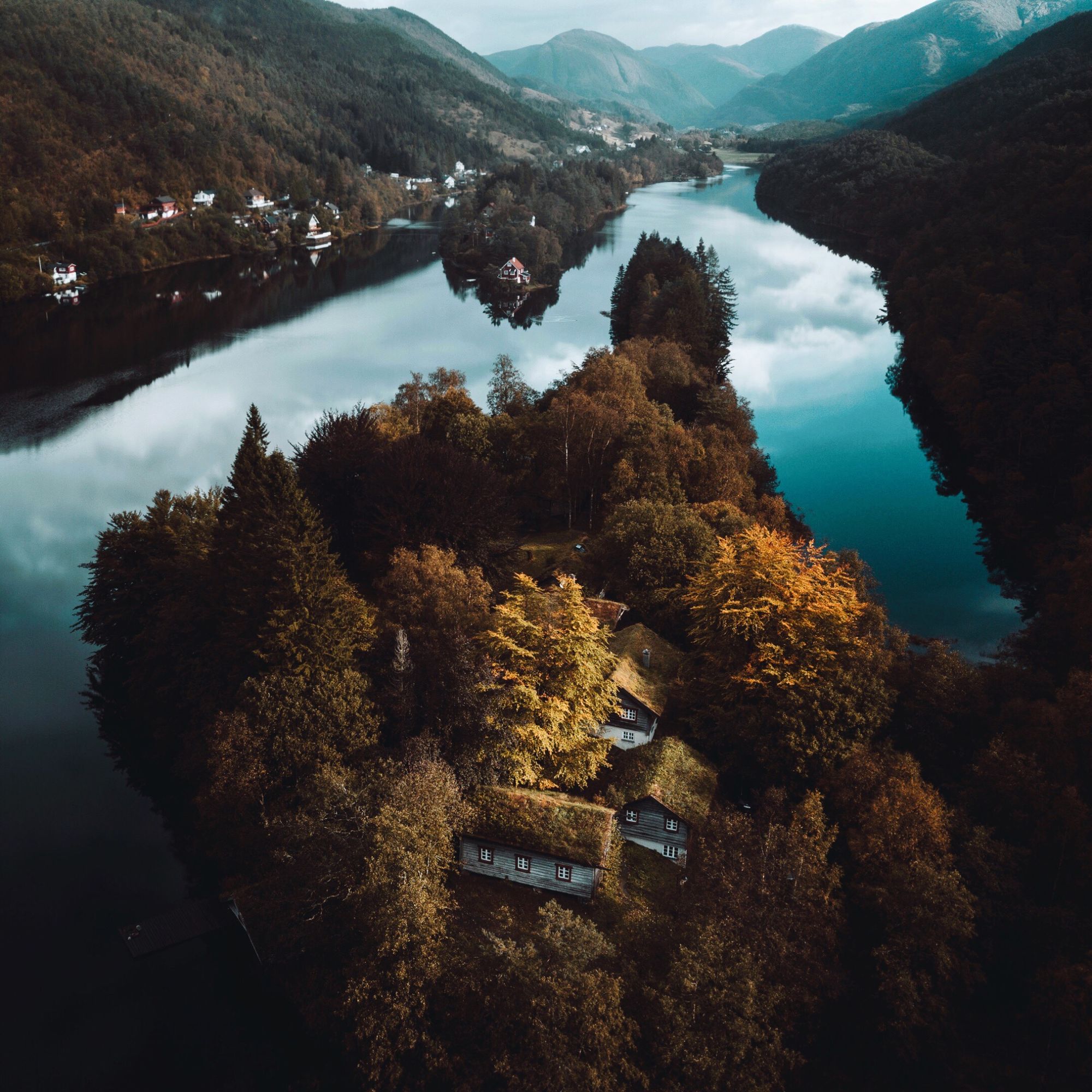 Forests — Vestland